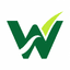 w3surge